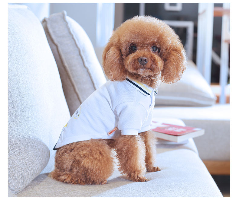 Teddy Pet Summer T-Shirt: The Ultimate Comfort for Your Furry Friend
